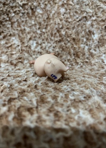 LPS miniş - Görsel 2