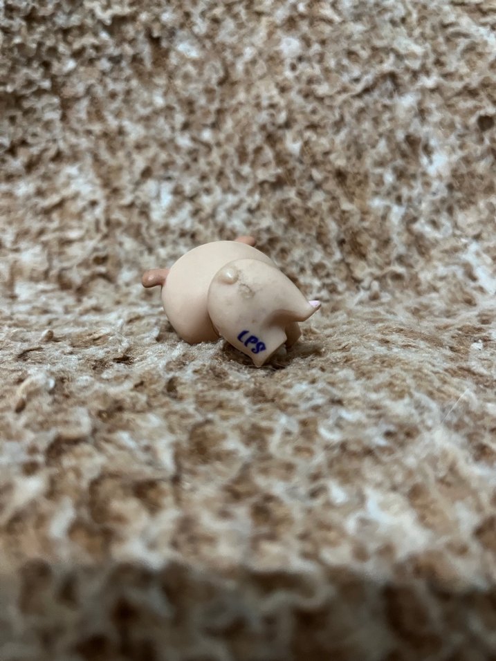 LPS miniş - Görsel 2