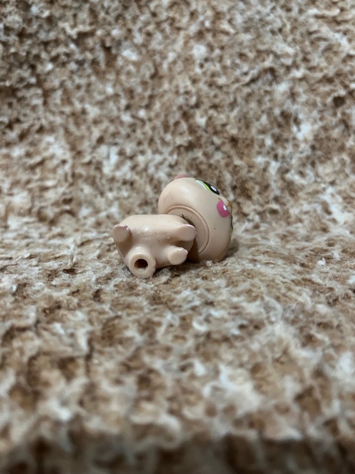 LPS miniş - Görsel 3