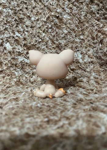 LPS miniş - Görsel 2