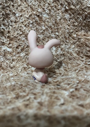 LPS miniş - Görsel 2