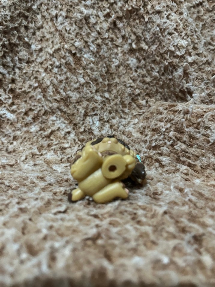 LPS miniş - Görsel 3