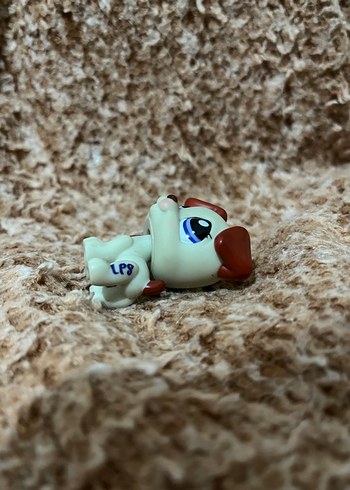 LPS miniş - Görsel 3