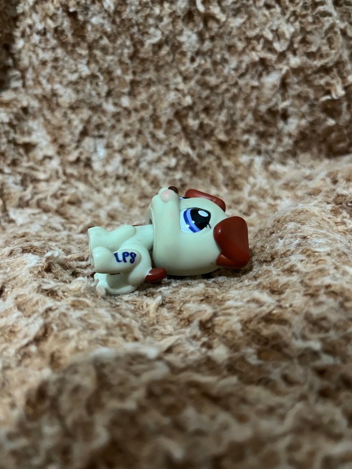 LPS miniş - Görsel 3