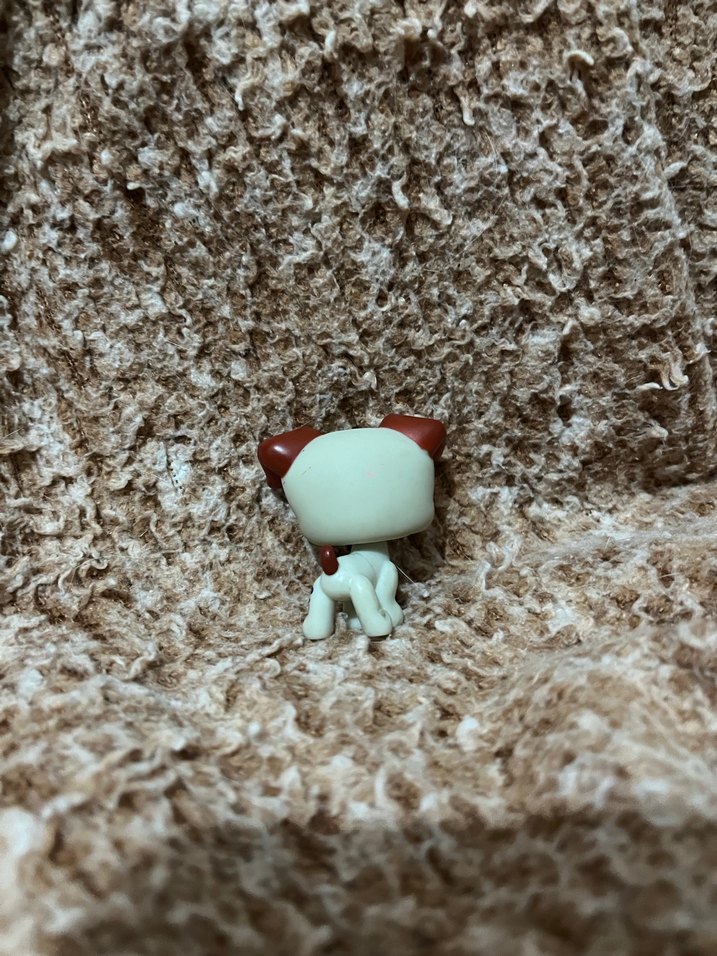 LPS miniş - Görsel 2