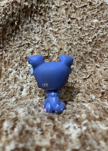 LPS miniş - Görsel 2