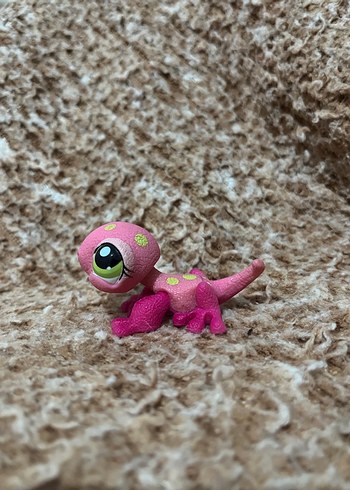 LPS miniş - Görsel 2