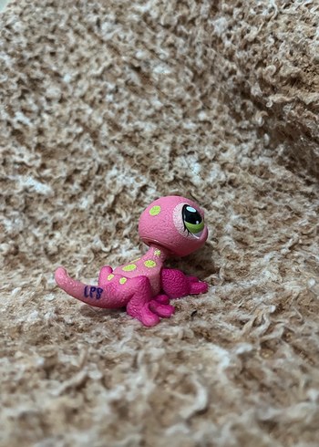 LPS miniş - Görsel 3