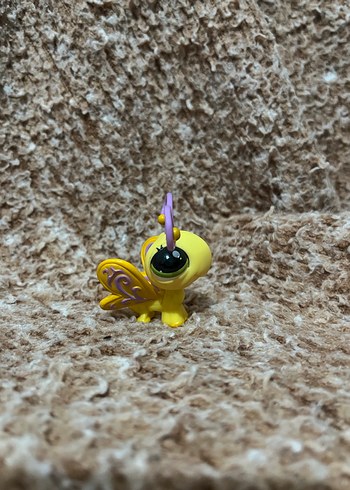 LPS miniş - Görsel 2