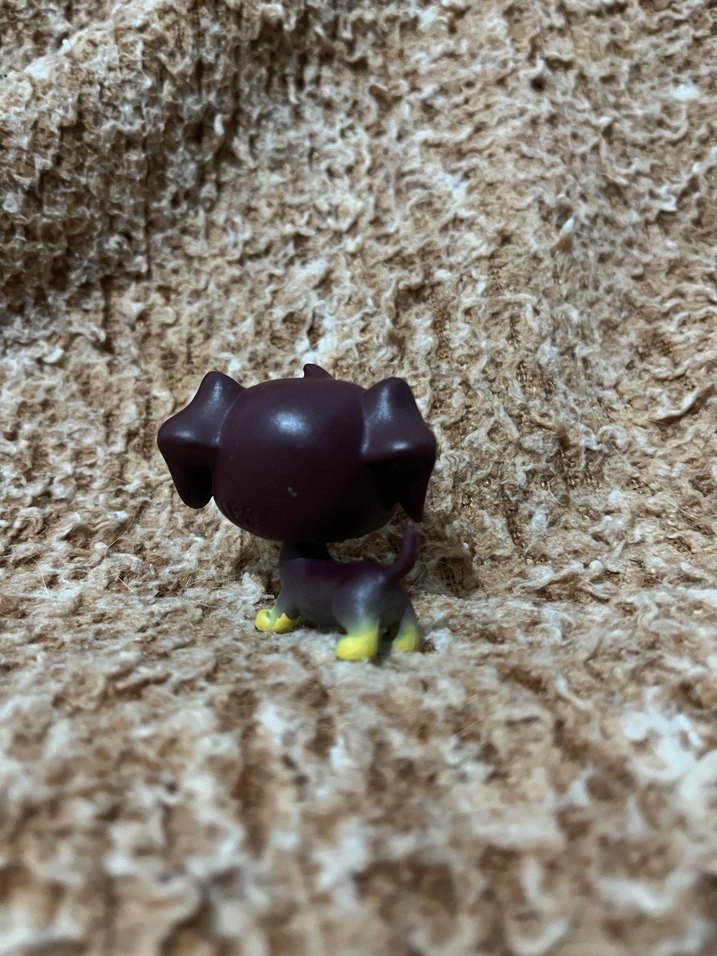 LPS miniş - Görsel 2