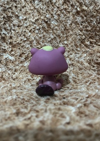 LPS miniş - Görsel 2