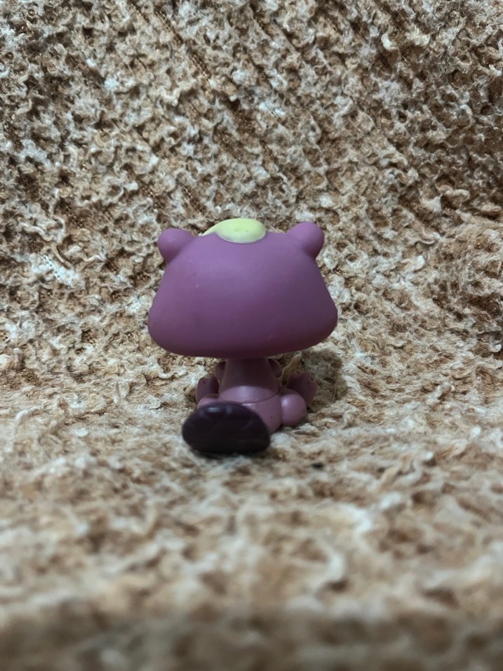 LPS miniş - Görsel 2