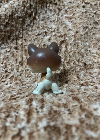 LPS miniş - Görsel 2