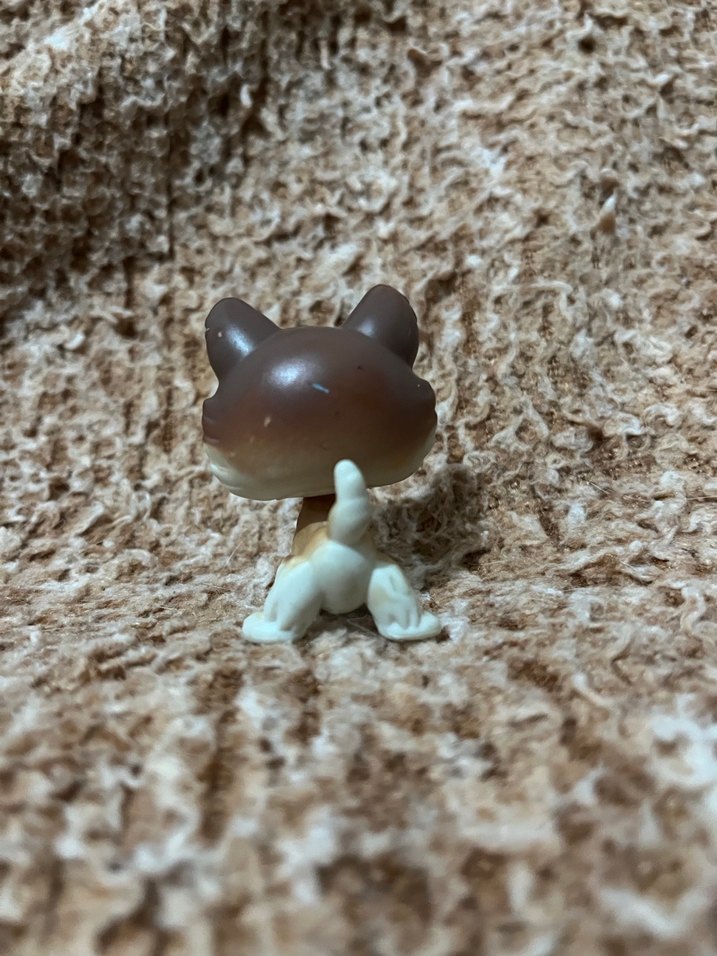 LPS miniş - Görsel 2