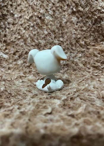 LPS miniş - Görsel 2