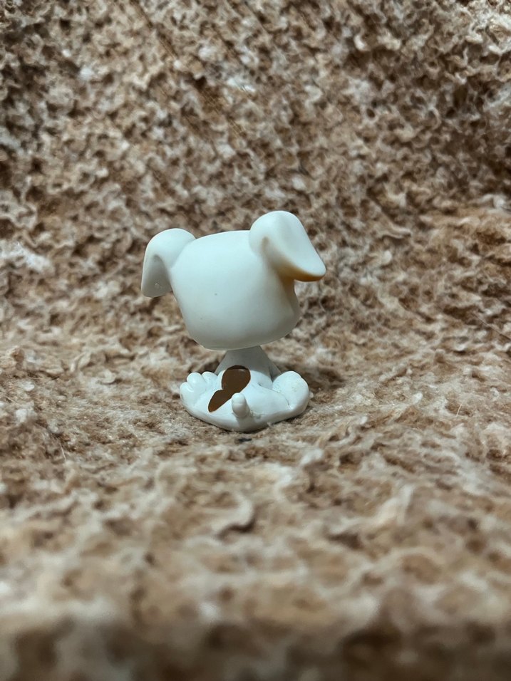 LPS miniş - Görsel 2