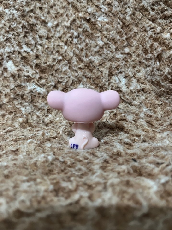 LPS miniş - Görsel 2