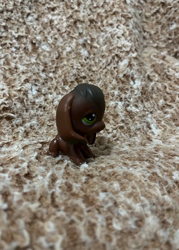 LPS miniş - Görsel 2