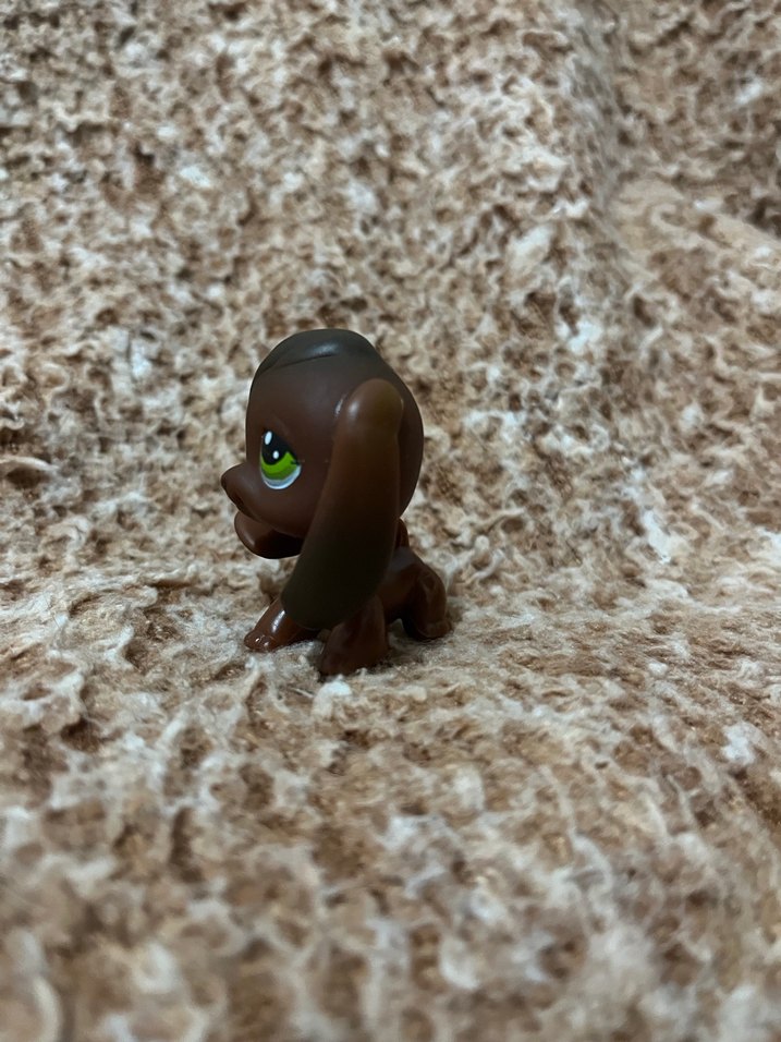 LPS miniş - Görsel 3