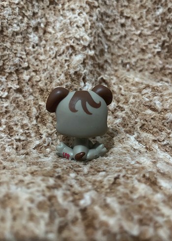 LPS miniş - Görsel 2