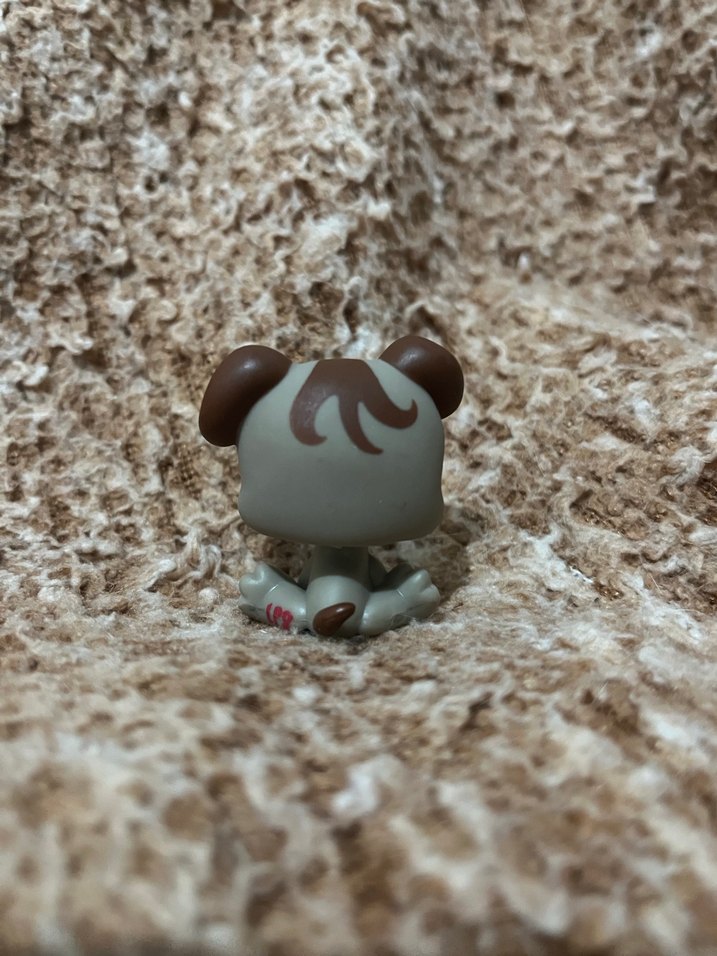 LPS miniş - Görsel 2