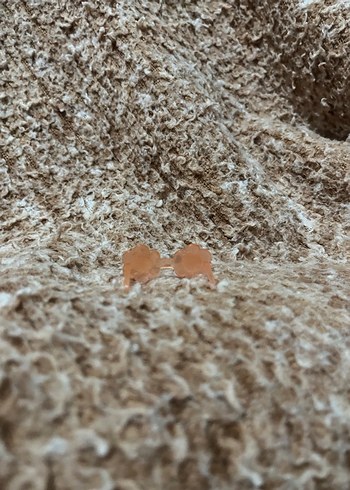 LPS miniş aksesuarı - Görsel 3