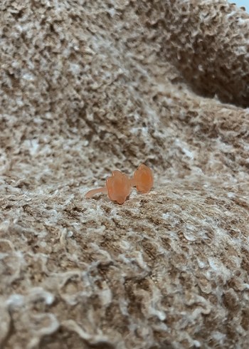 LPS miniş aksesuarı - Görsel 2