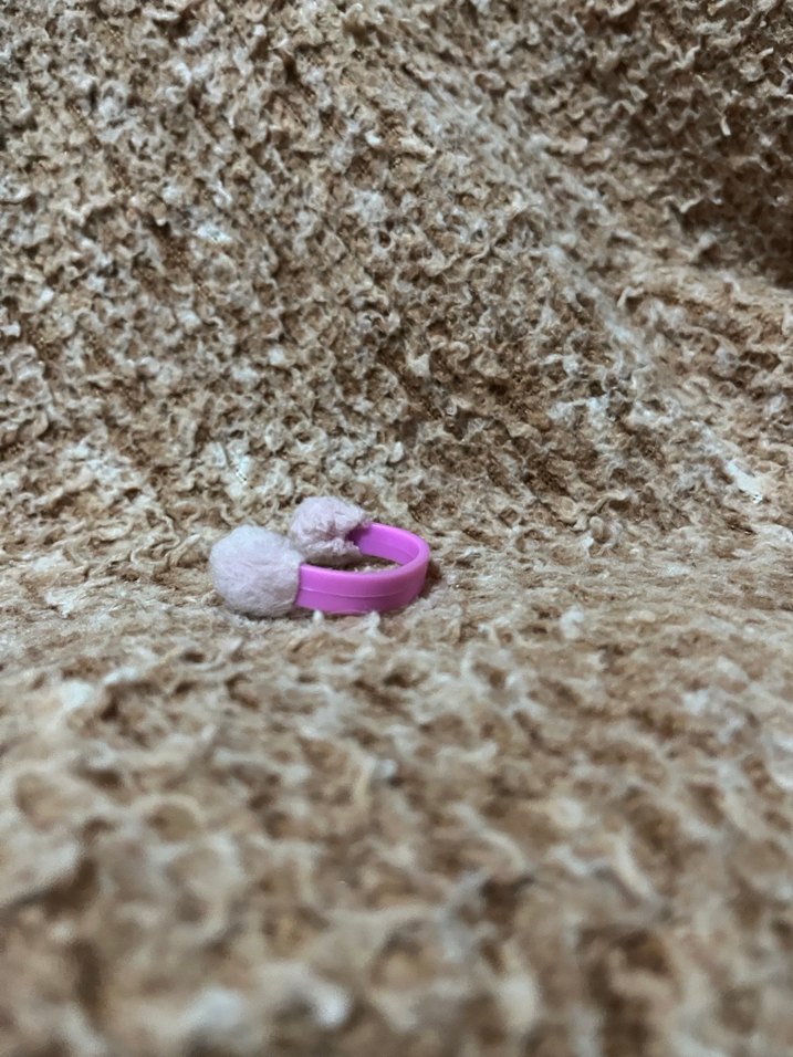 LPS miniş aksesuarı - Görsel 3