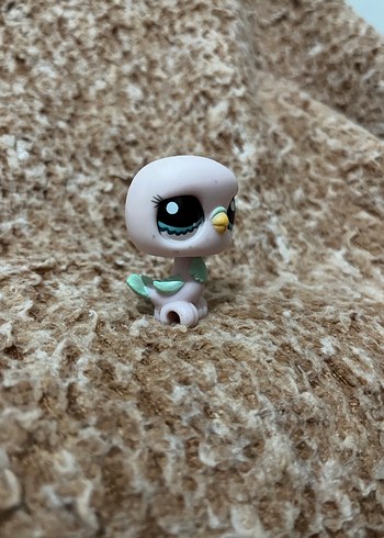 LPS miniş - Görsel 2