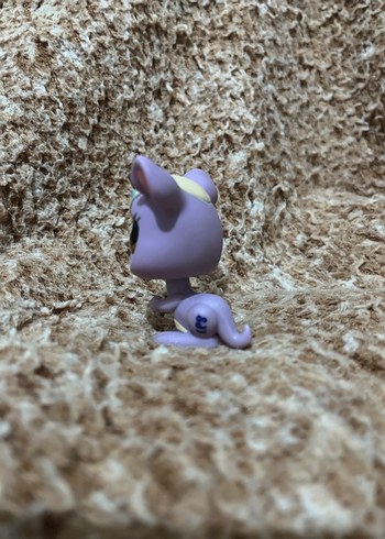 LPS miniş - Görsel 2