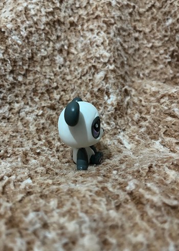 LPS miniş - Görsel 4