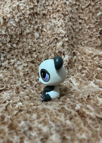 LPS miniş - Görsel 3