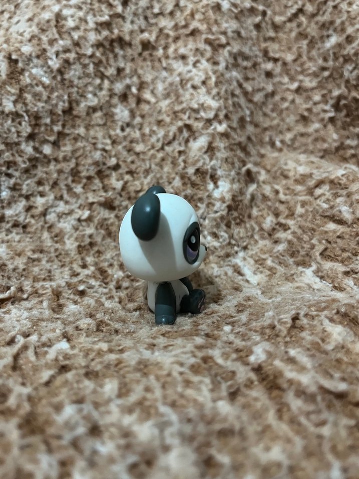 LPS miniş - Görsel 4