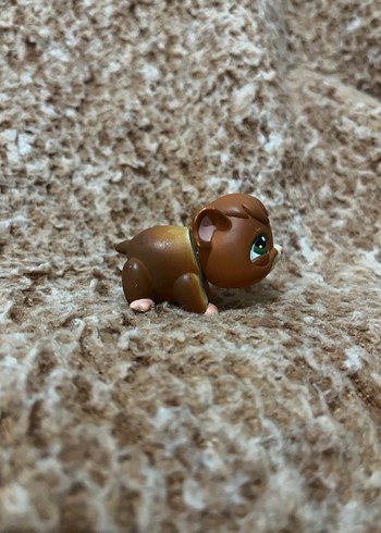 LPS miniş - Görsel 2