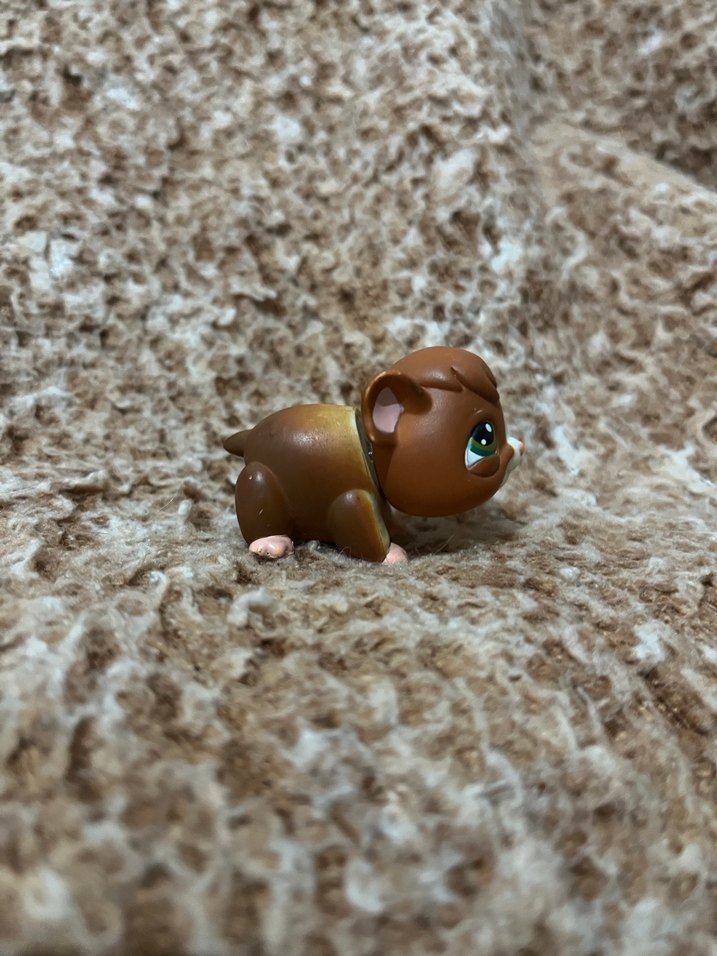 LPS miniş - Görsel 2