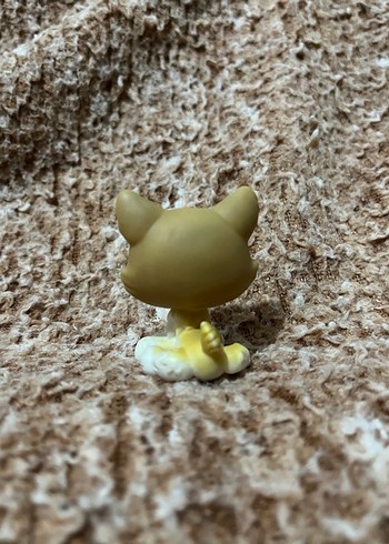 LPS miniş - Görsel 2