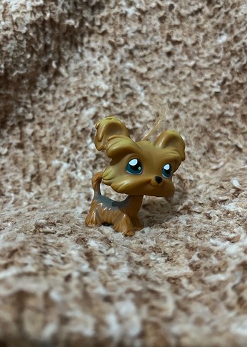 LPS miniş - Görsel 3