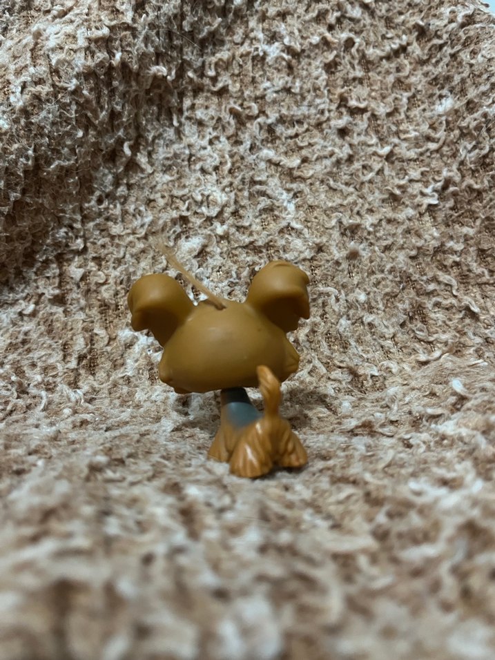 LPS miniş - Görsel 2