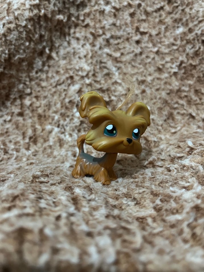 LPS miniş - Görsel 3