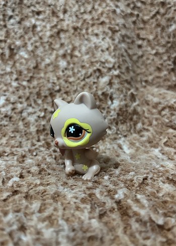 LPS miniş - Görsel 3