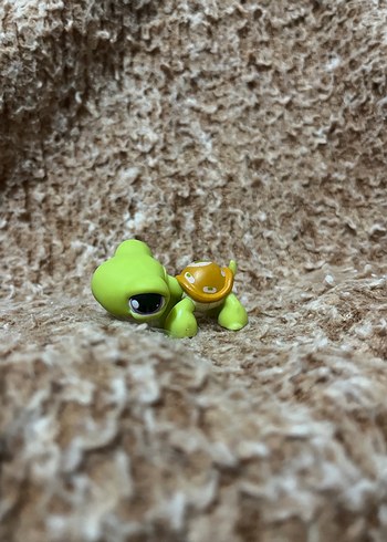 LPS miniş - Görsel 2