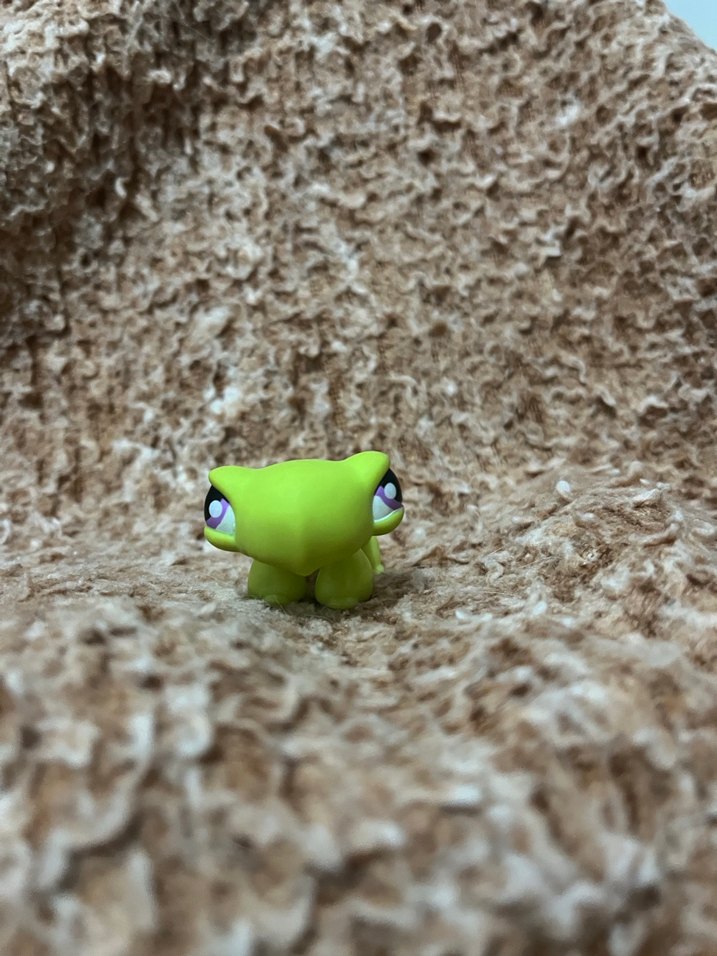 LPS miniş - Görsel 4