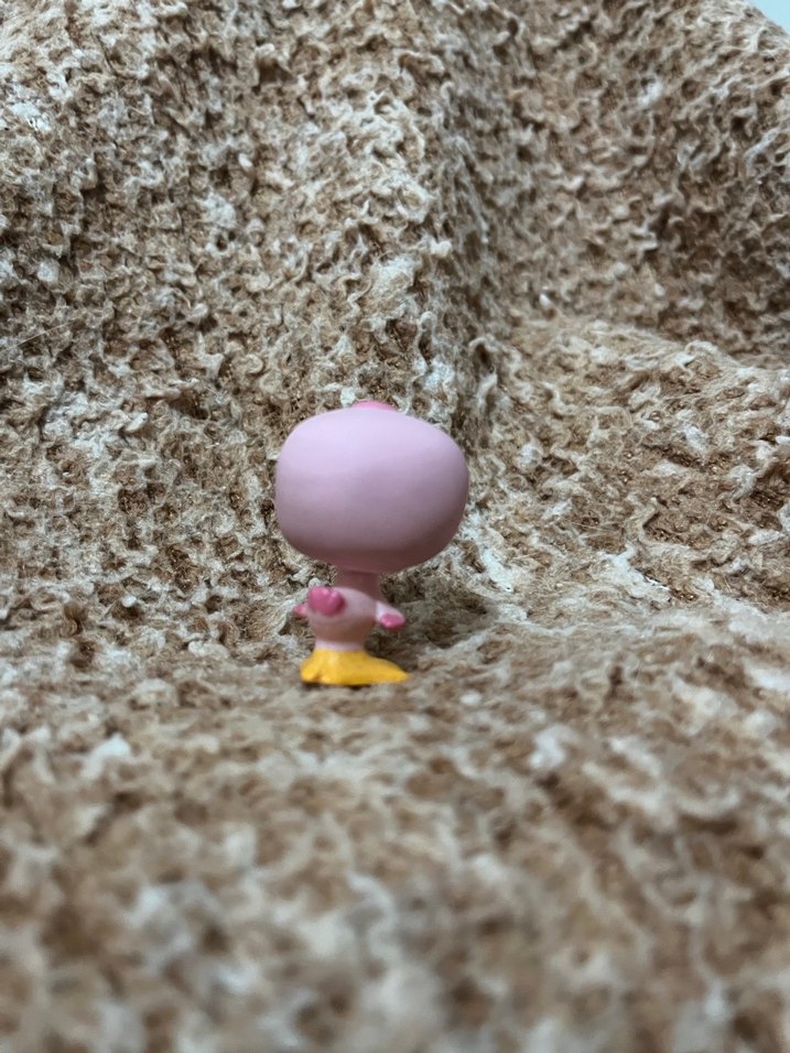 LPS miniş - Görsel 2