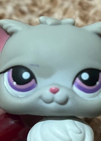 LPS miniş - Görsel 4