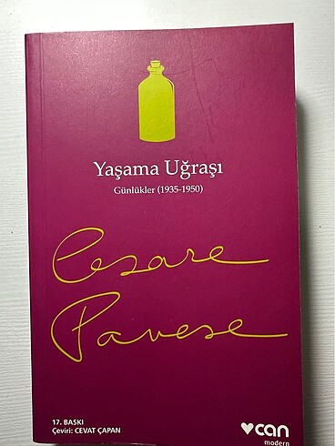 Yaşama Uğraşı