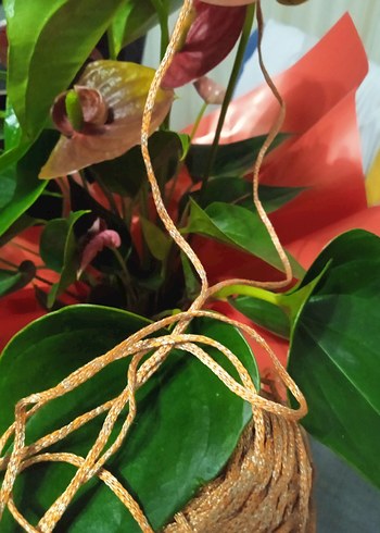 simli Makrome ipler - Görsel 4