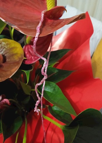 simli Makrome ipler - Görsel 7