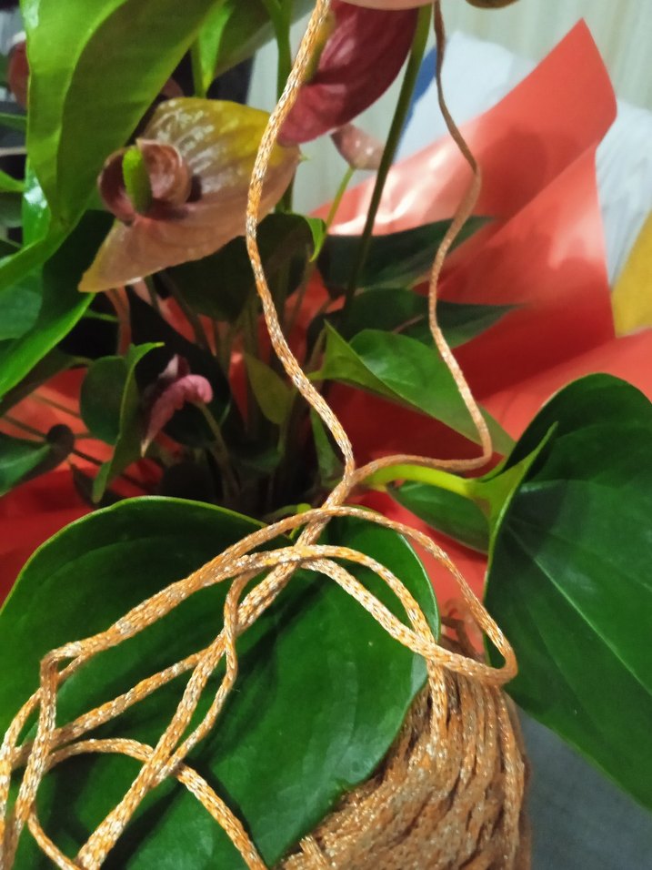 simli Makrome ipler - Görsel 4