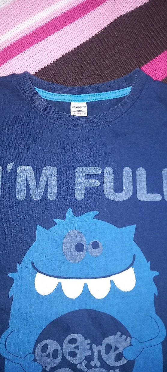 LCW  Erkek Çocuk Sweatshirt - Görsel 4