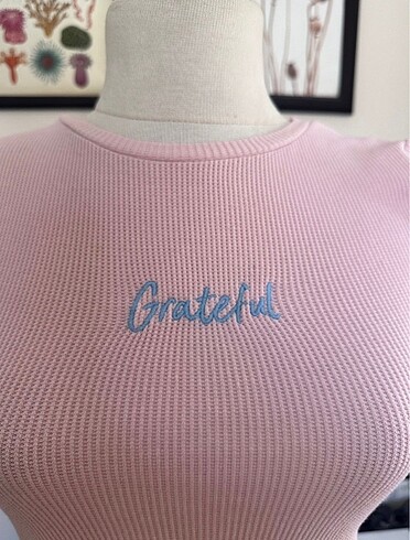 s Beden Coquette Pastel Grateful Pembe Kadın Bluz